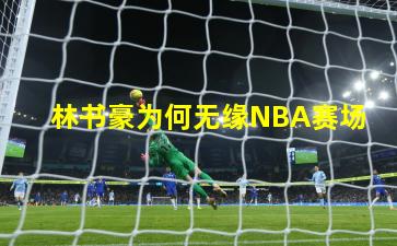 林书豪为何无缘NBA赛场
