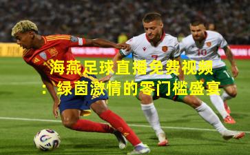 海燕足球直播免费视频：绿茵激情的零门槛盛宴